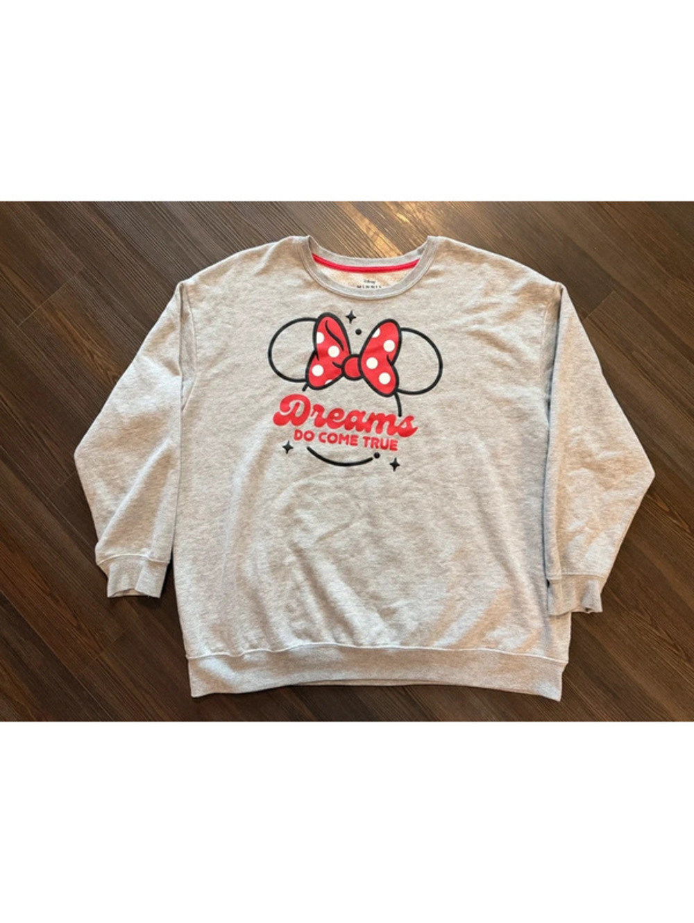 Minnie Mouse Disney sweatshirt large dreams do come true